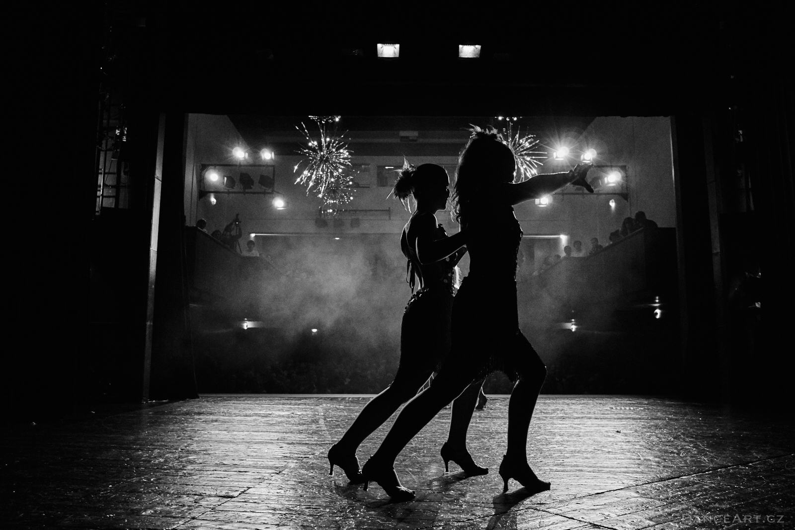 DanceArt_Akademie_2015_michalfanta__0666.jpg