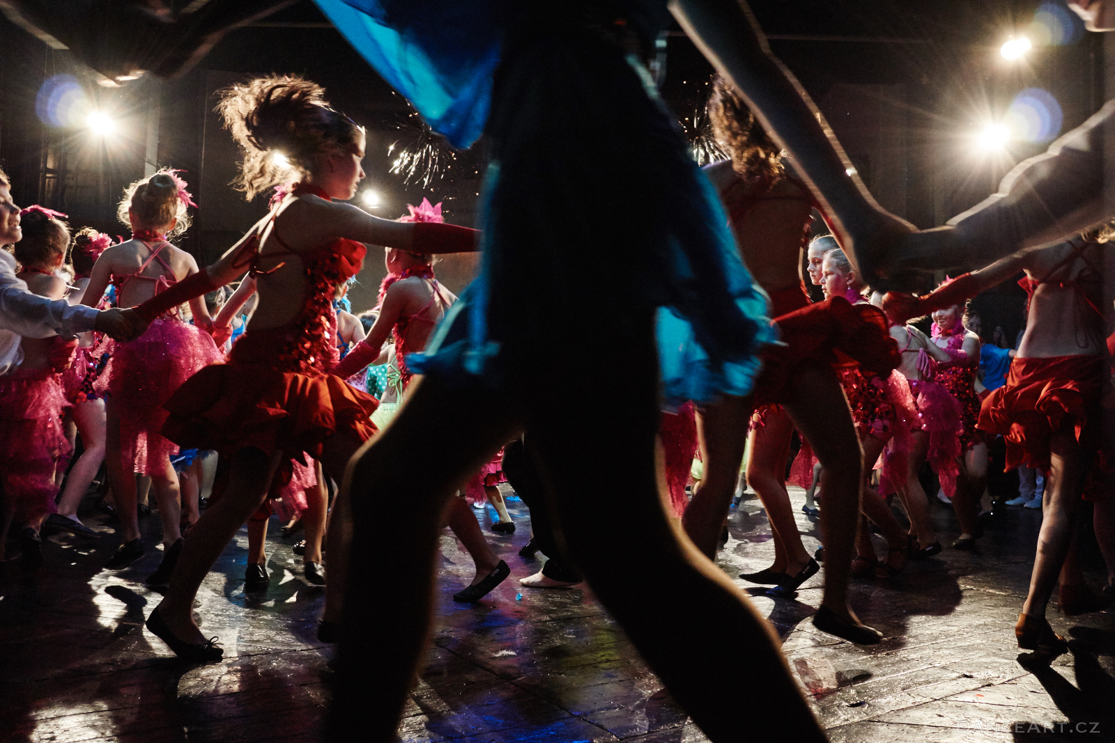 DanceArt_Akademie_2015_michalfanta__0702.jpg