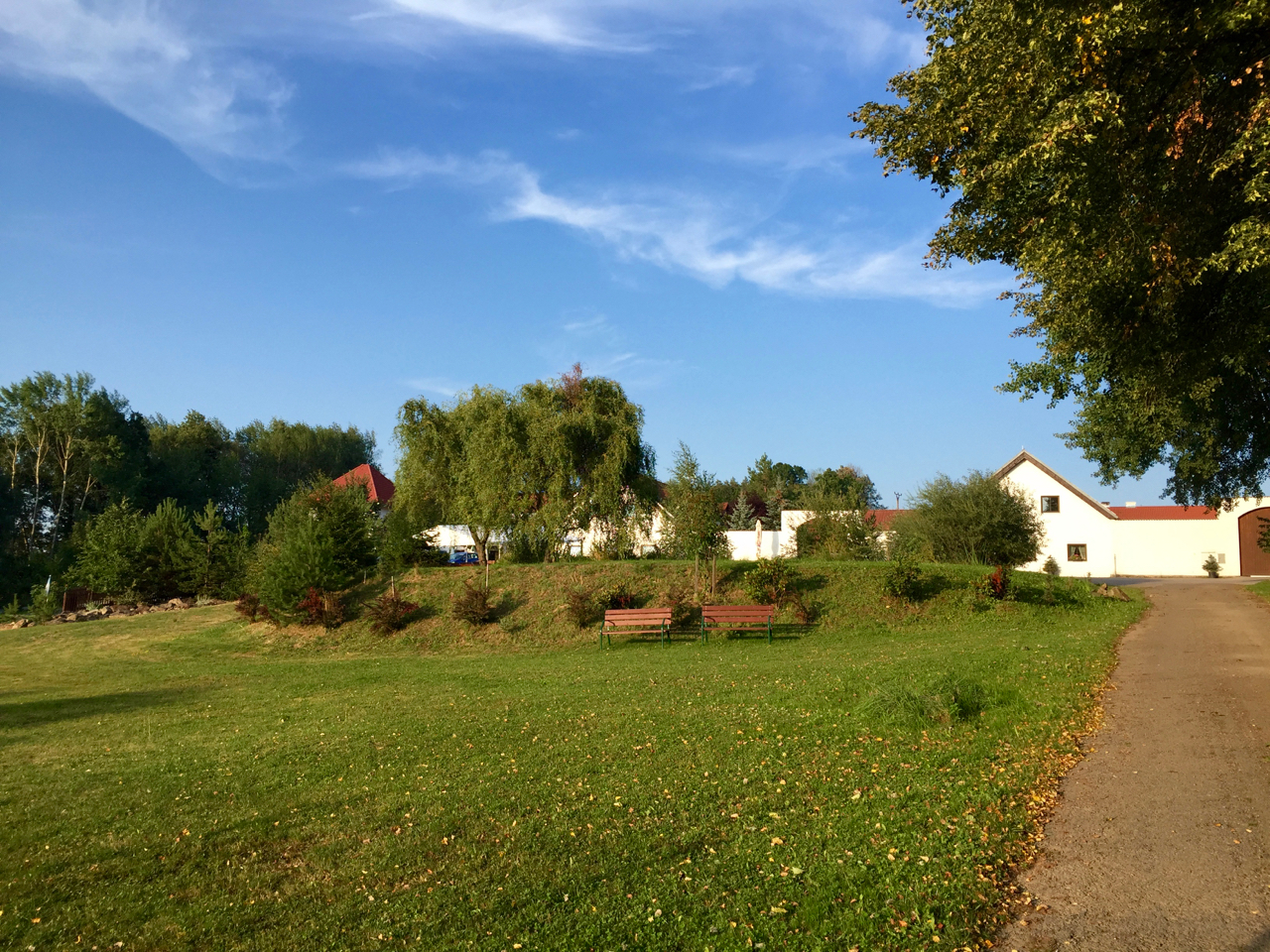 Summer DanceArt Camp 2015 - 1.jpg