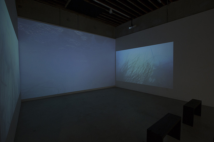 This is a projection of footage from the tidal zone near Monterrey Bay. The large center screen has been embedded with a live population clock, counting in real time (taking into account deaths) as the world population grows. Click here for live stream of population clock . 
