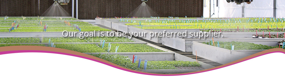 wsyp-header-home.jpg