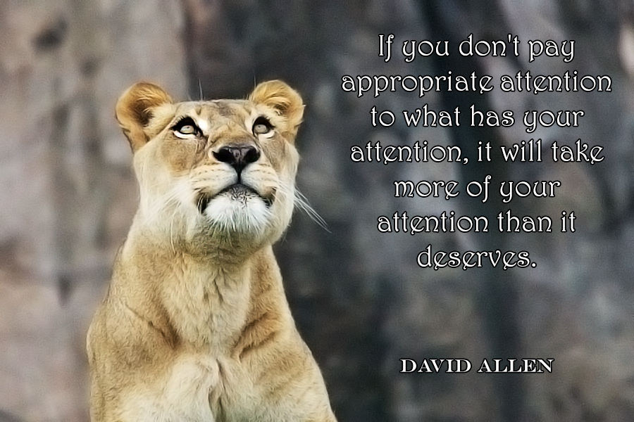 Image by: Matthew_Hull