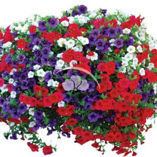 Trixi® Liners