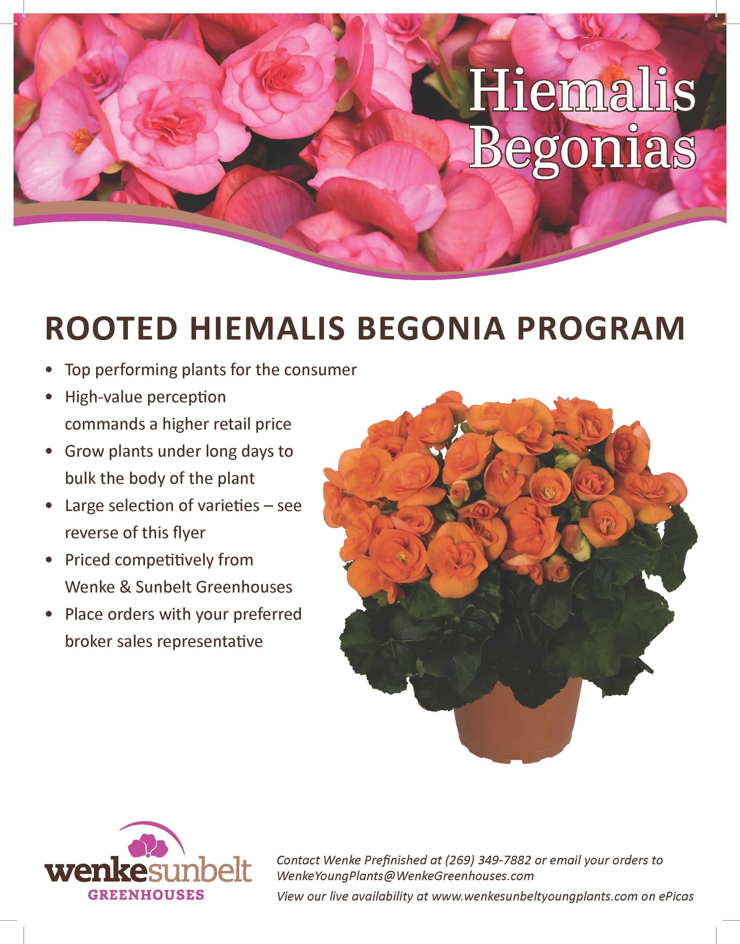Flyer_Begonia_ShipTo_PRINT_Page_1.jpg