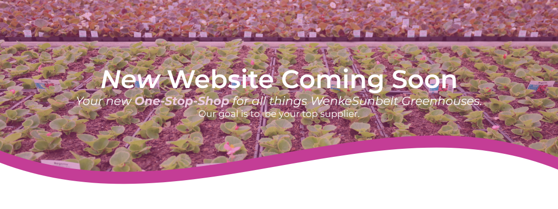 YP Banner Web Annoucement 4.png