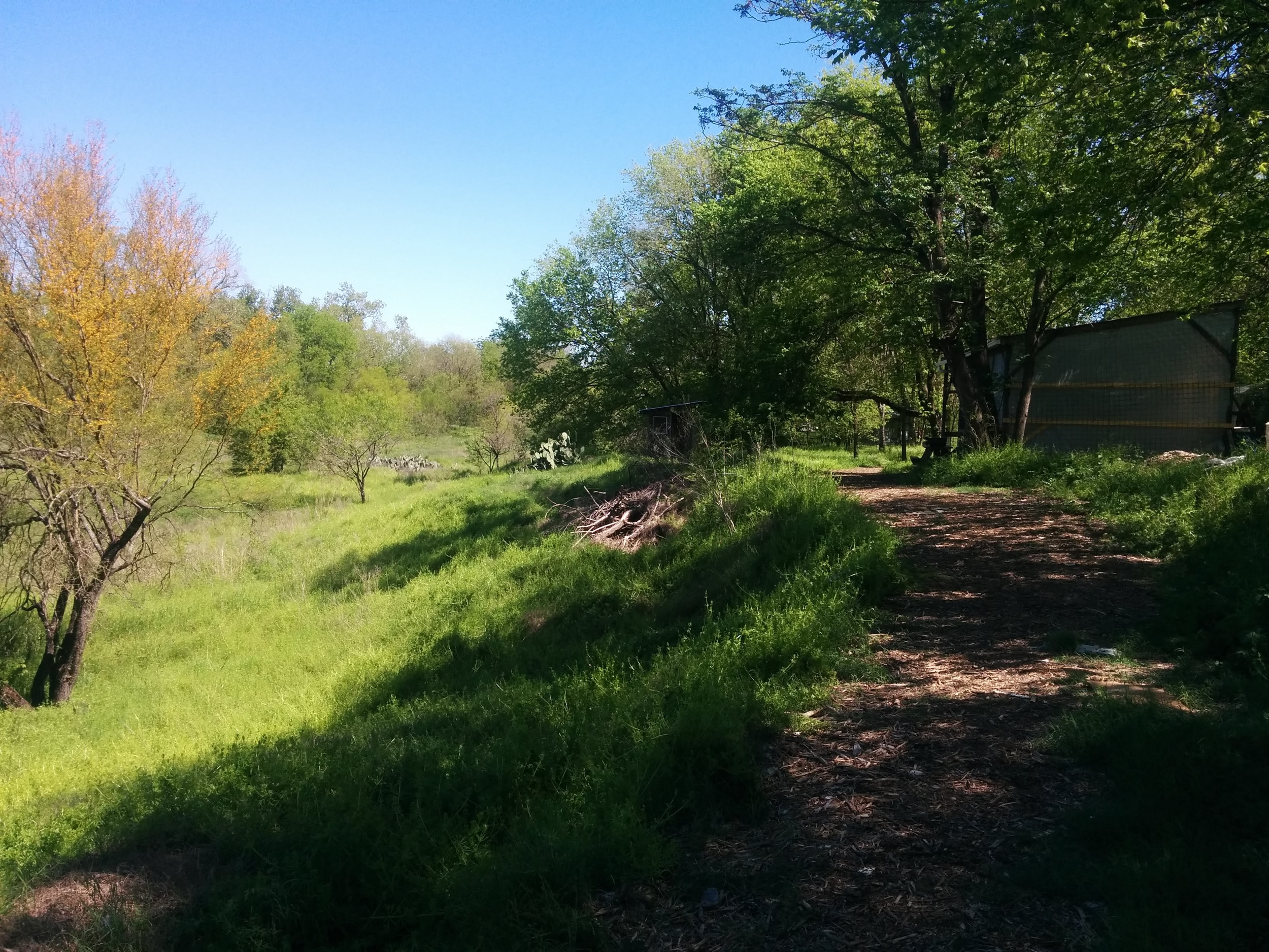 Urban Ecology Camp! 