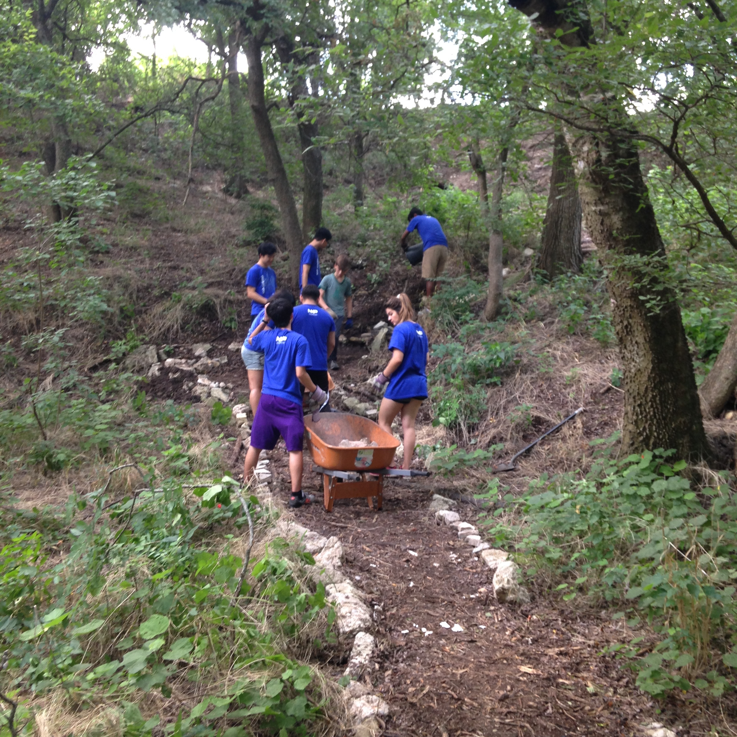 Volunteer Morning at Circle Acres