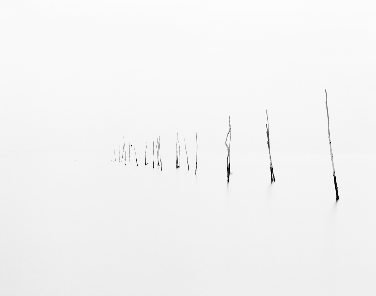 Pound Net III