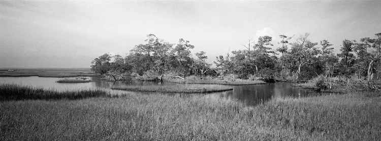 Marsh II
