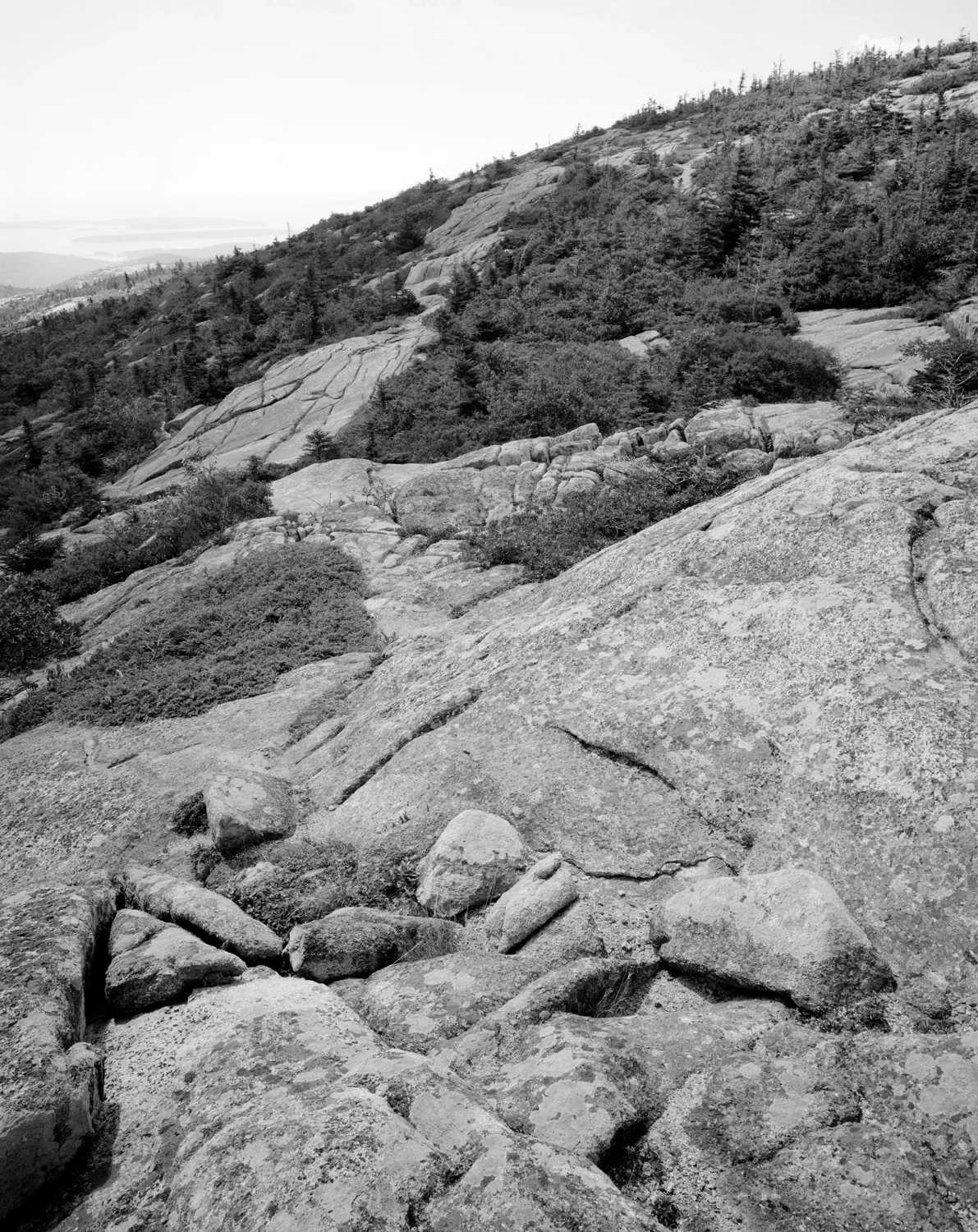 Cadillac Mountain. Acadia National Park, Maine. 1999.