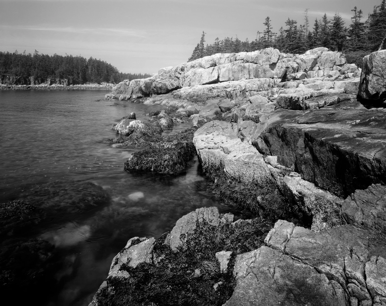 Ship Harbor Inlet. Acadia National Park, Maine. 2011