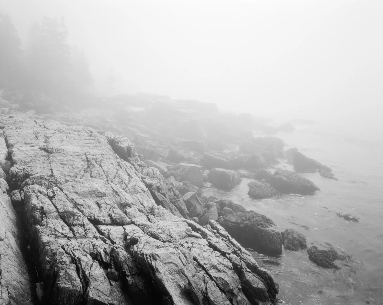 Fog in Ship Harbor, Acadia National Park, Maine. 2011