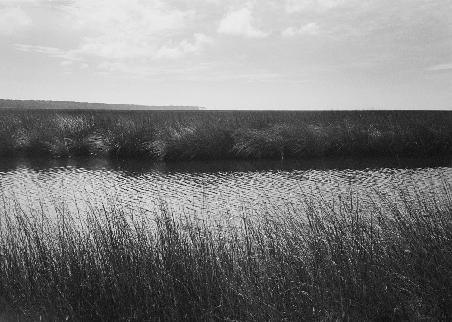 Cedar Island Wildlife Refuge. 2015. Age 5.