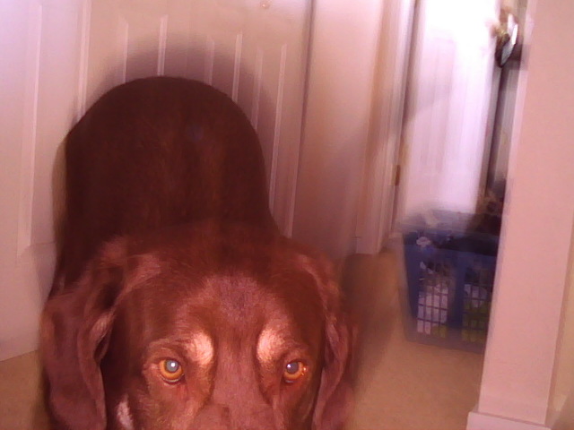 "Frame 0029". George and laundry. 2011