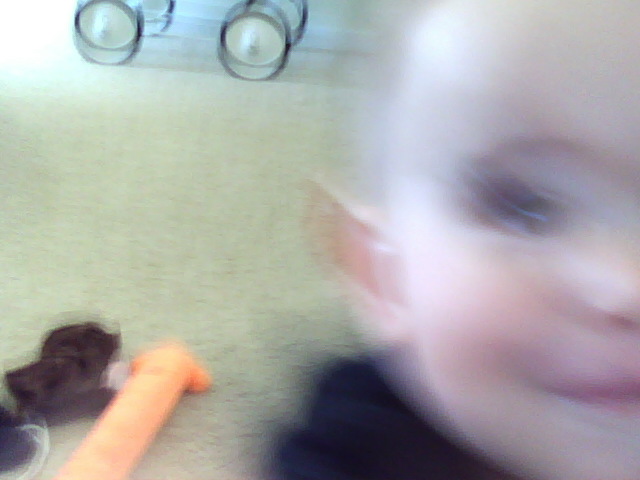 "Frame 0047". First selfie. Dog chew toys and bassinet. 2011