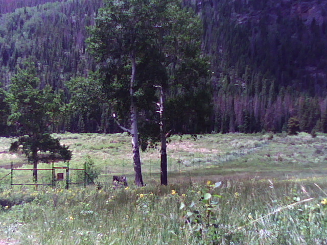 "Frame 0162". First landscape. Rocky Mountain National Park, CO. 2011