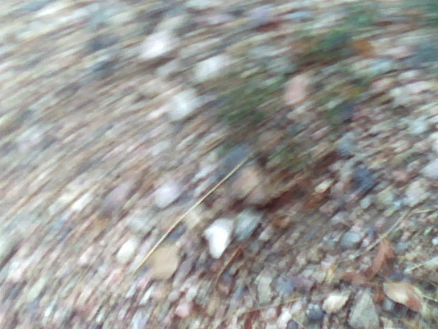 "Frame 1435". Energy. Cache la Poudre River, CO. 2012