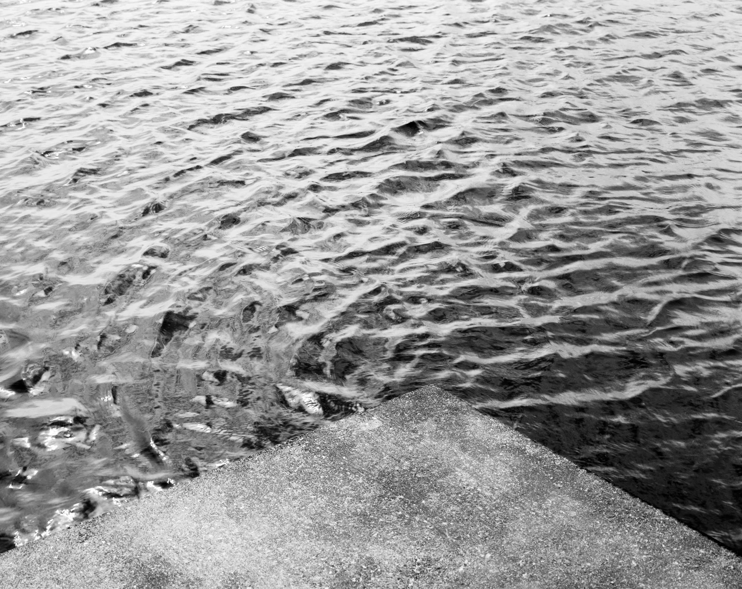 CEDAR ISLAND III
