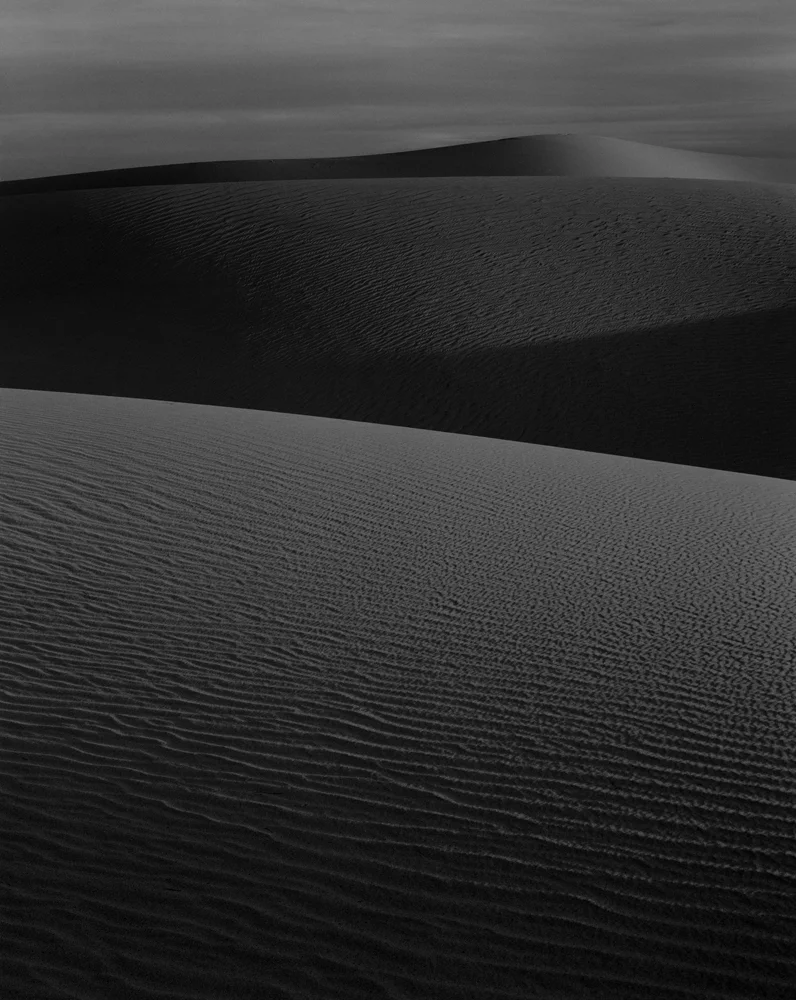 MESQUITE FLAT X
