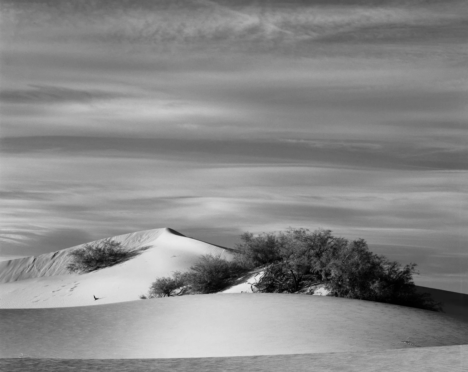 MESQUITE FLAT XIII