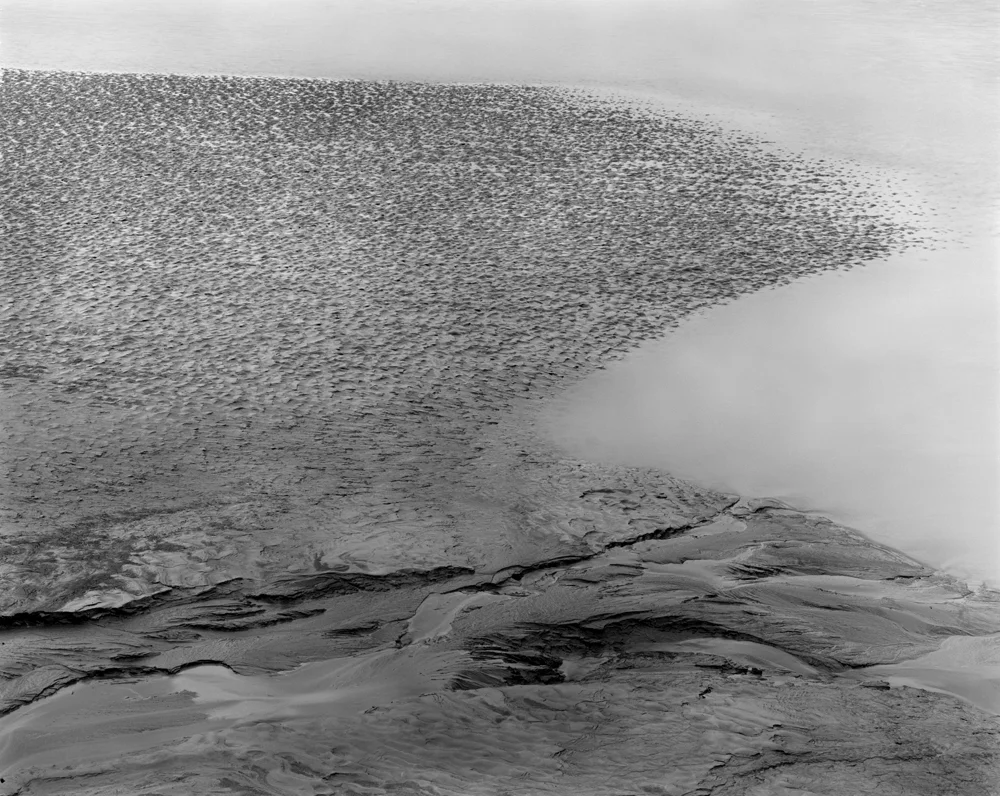 TURNAGAIN ARM II
