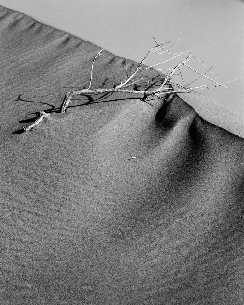 Mesquite Flat I