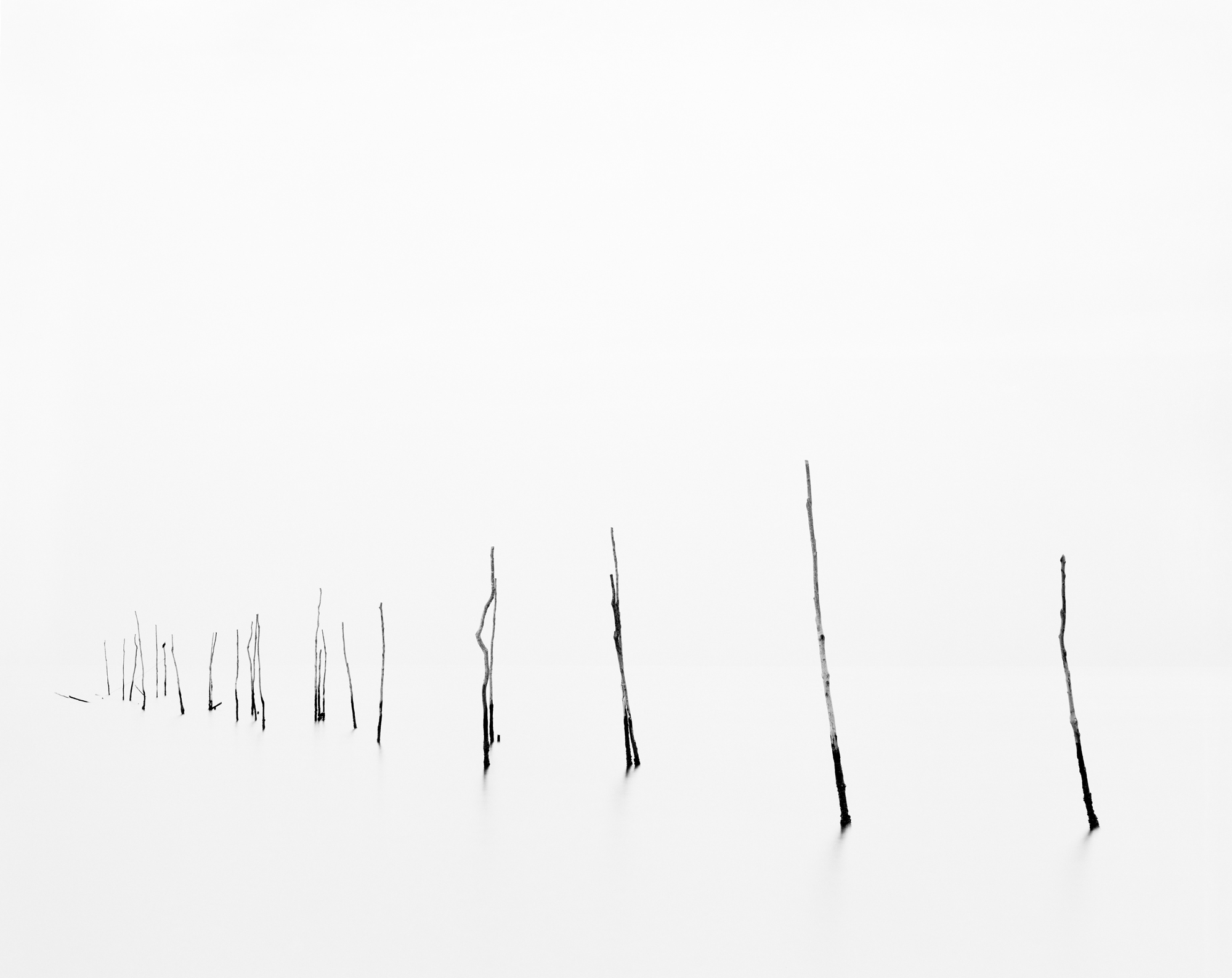 Pound Net IV, 2015. Chesapeake Bay, VA
