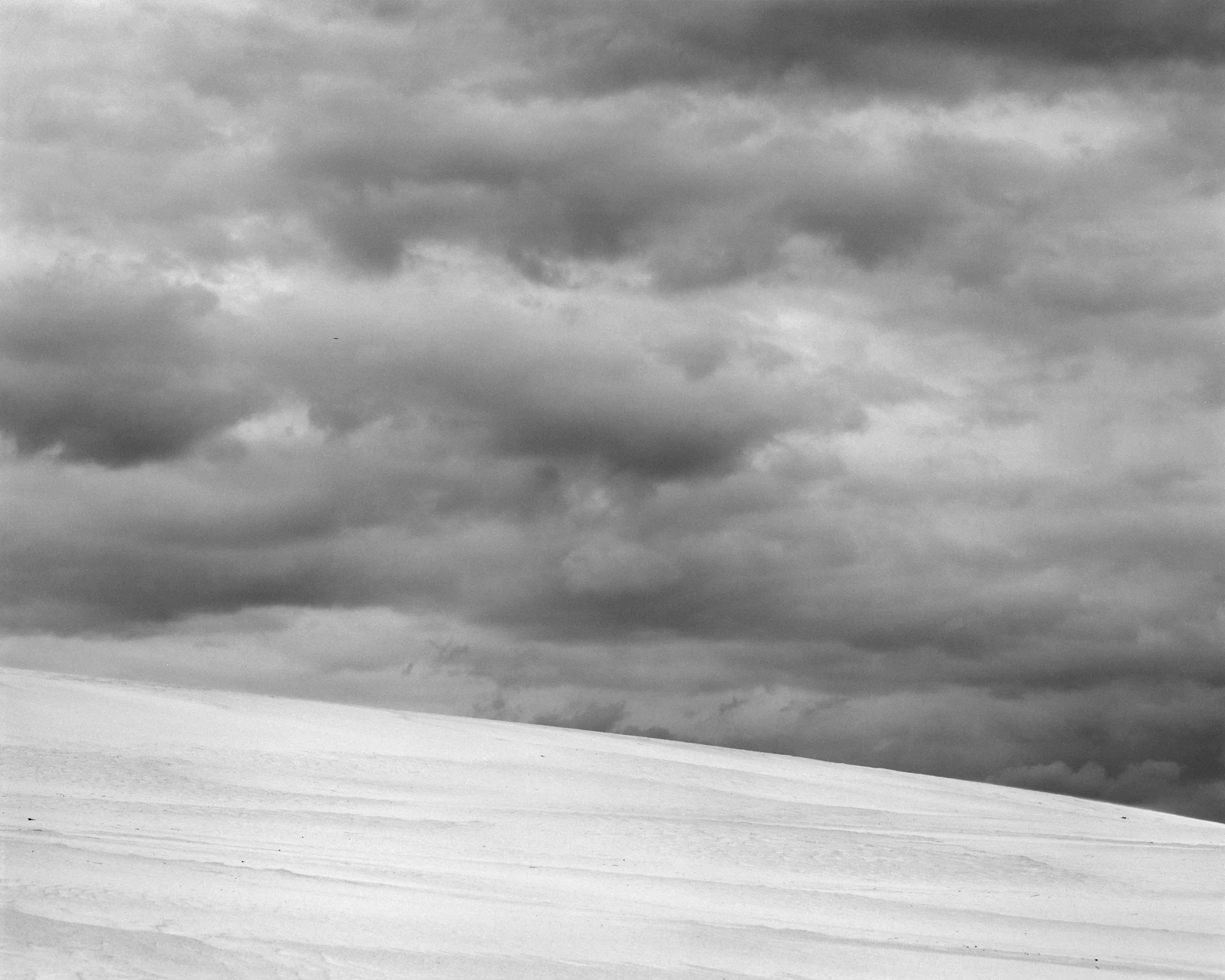 JOCKEY'S RIDGE VII