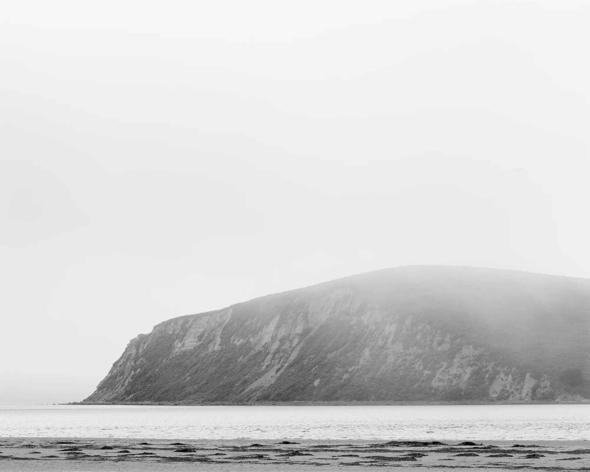 REYES I, 2017. Point Reyes National Seashore, CA
