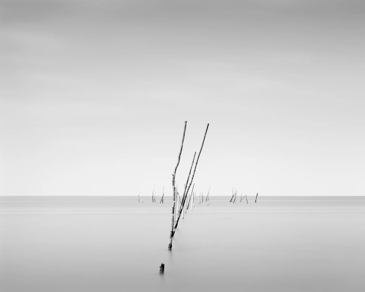 POUND NET VIII