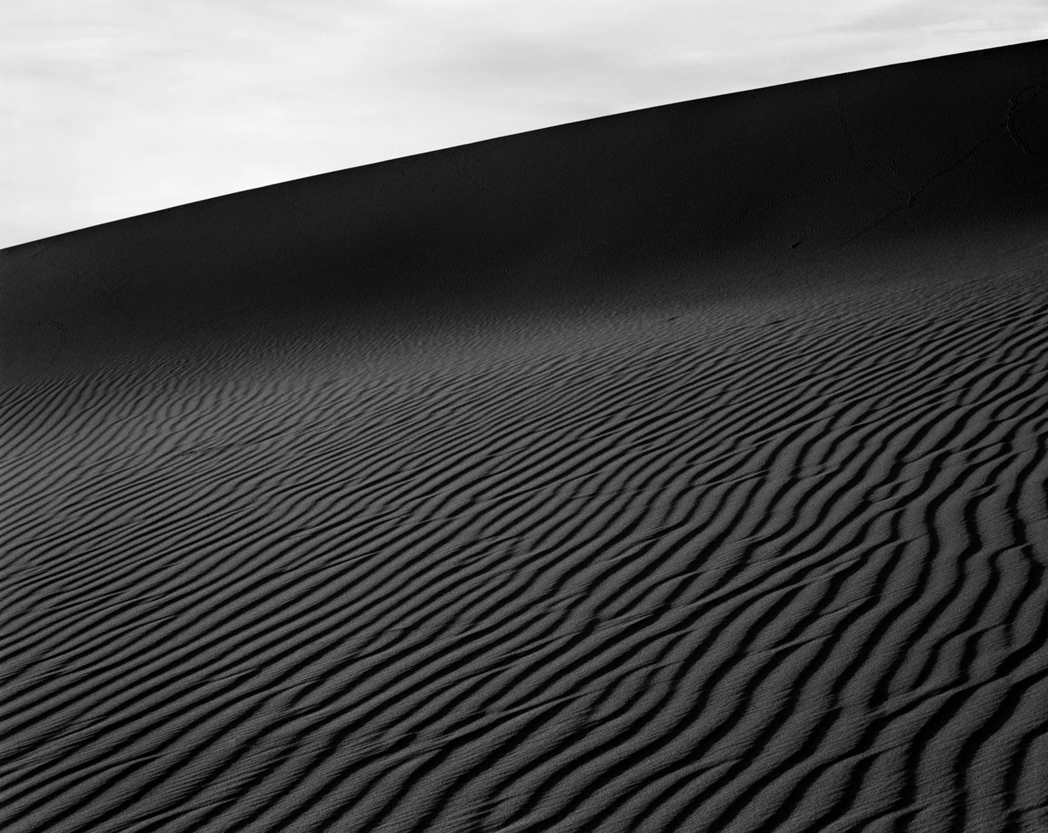MESQUITE FLAT XII