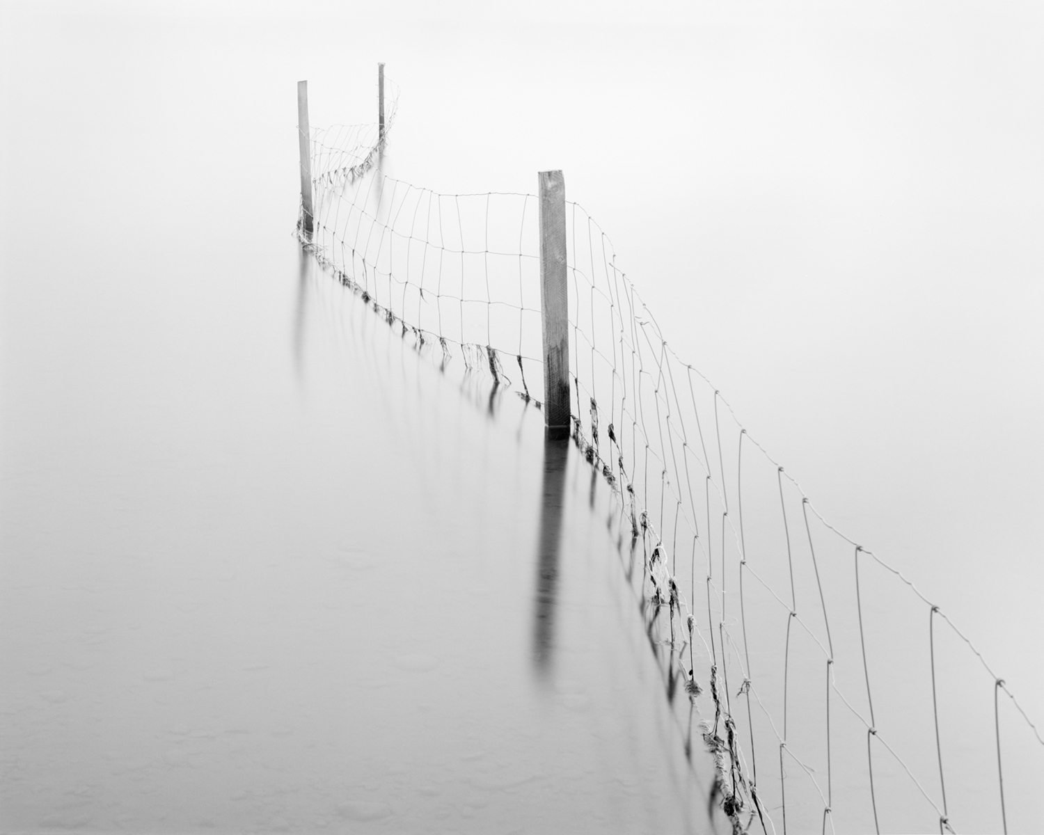 AUSTURFJORUR FENCE STUDY