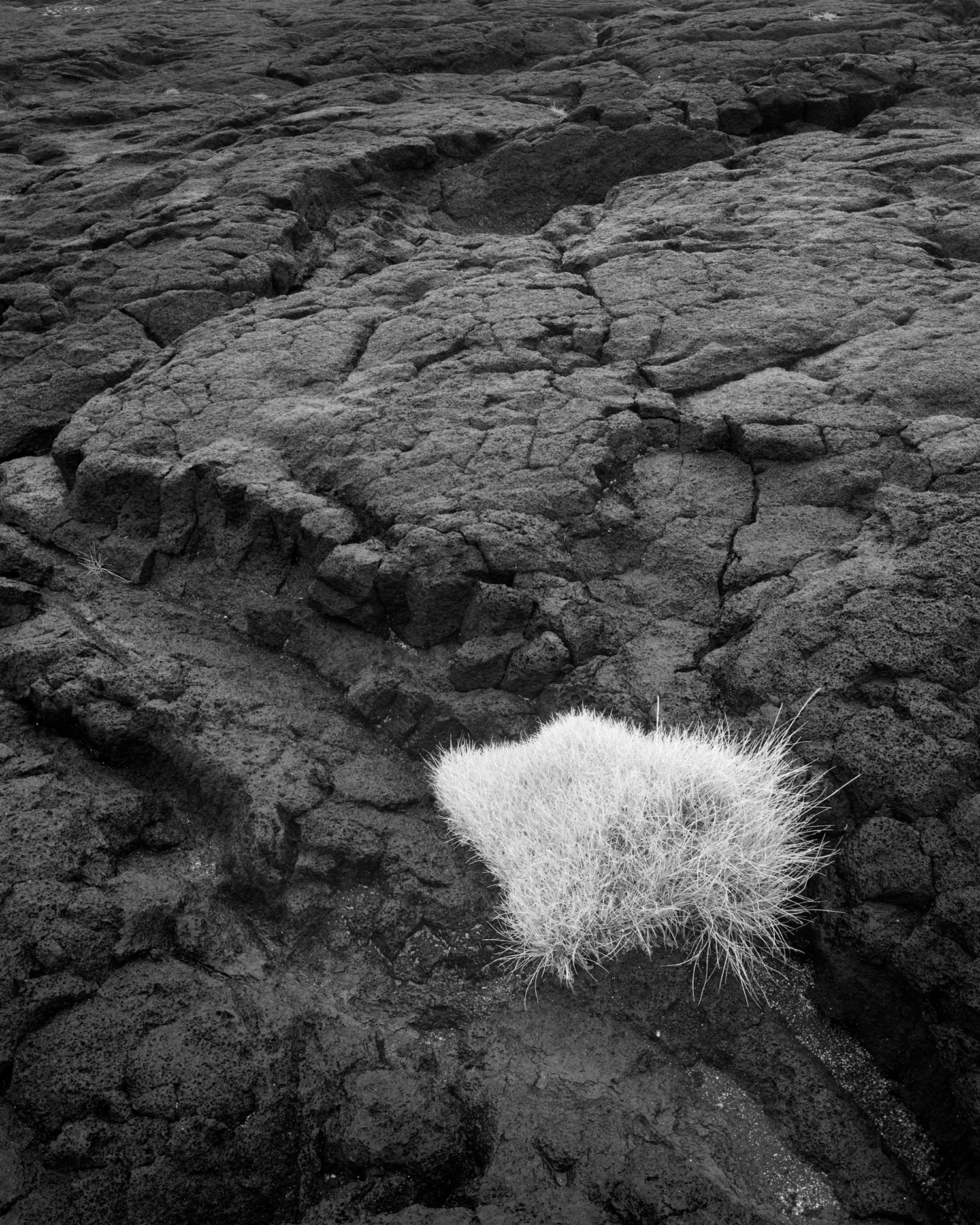 LAVA STUDY II