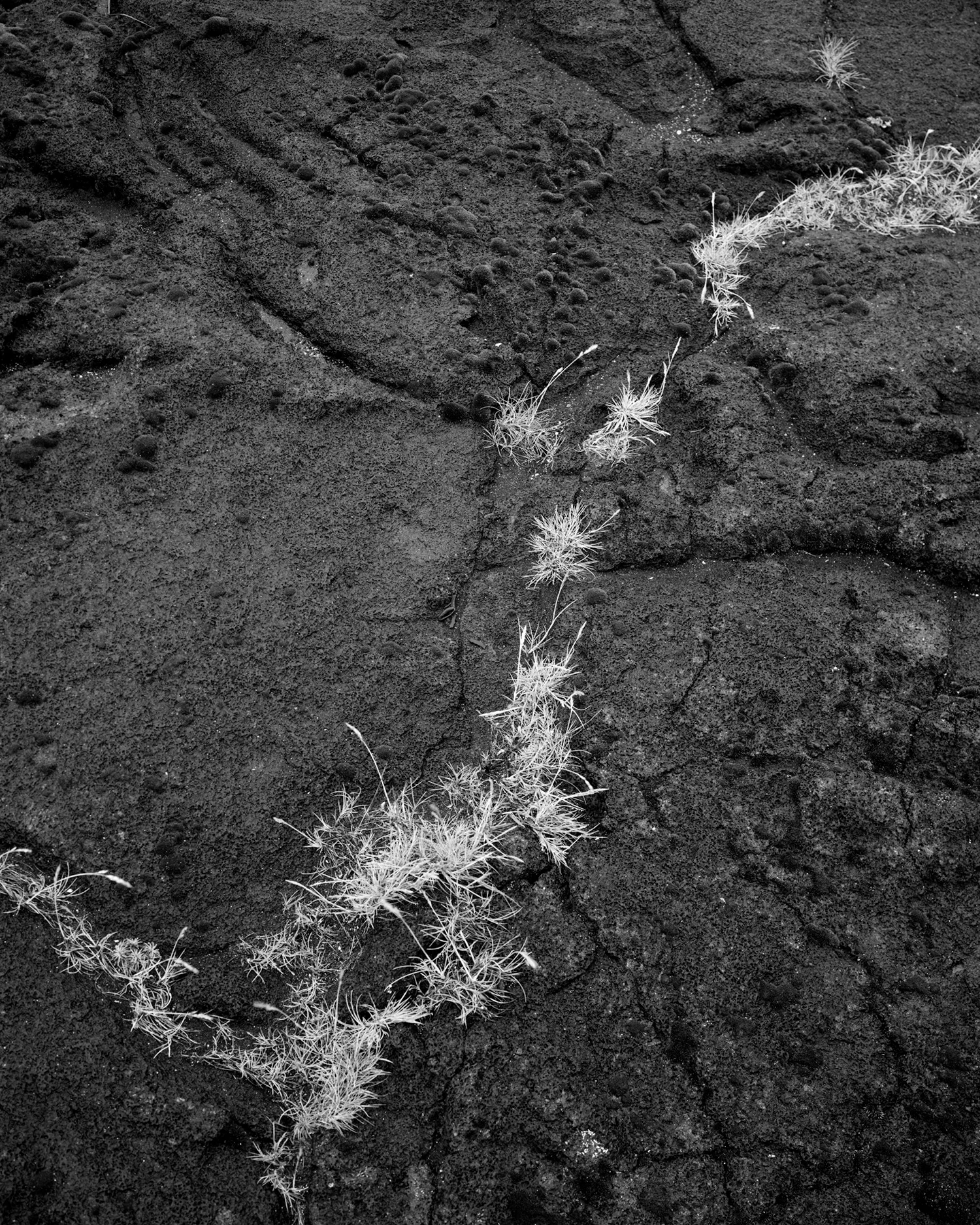 LAVA STUDY I