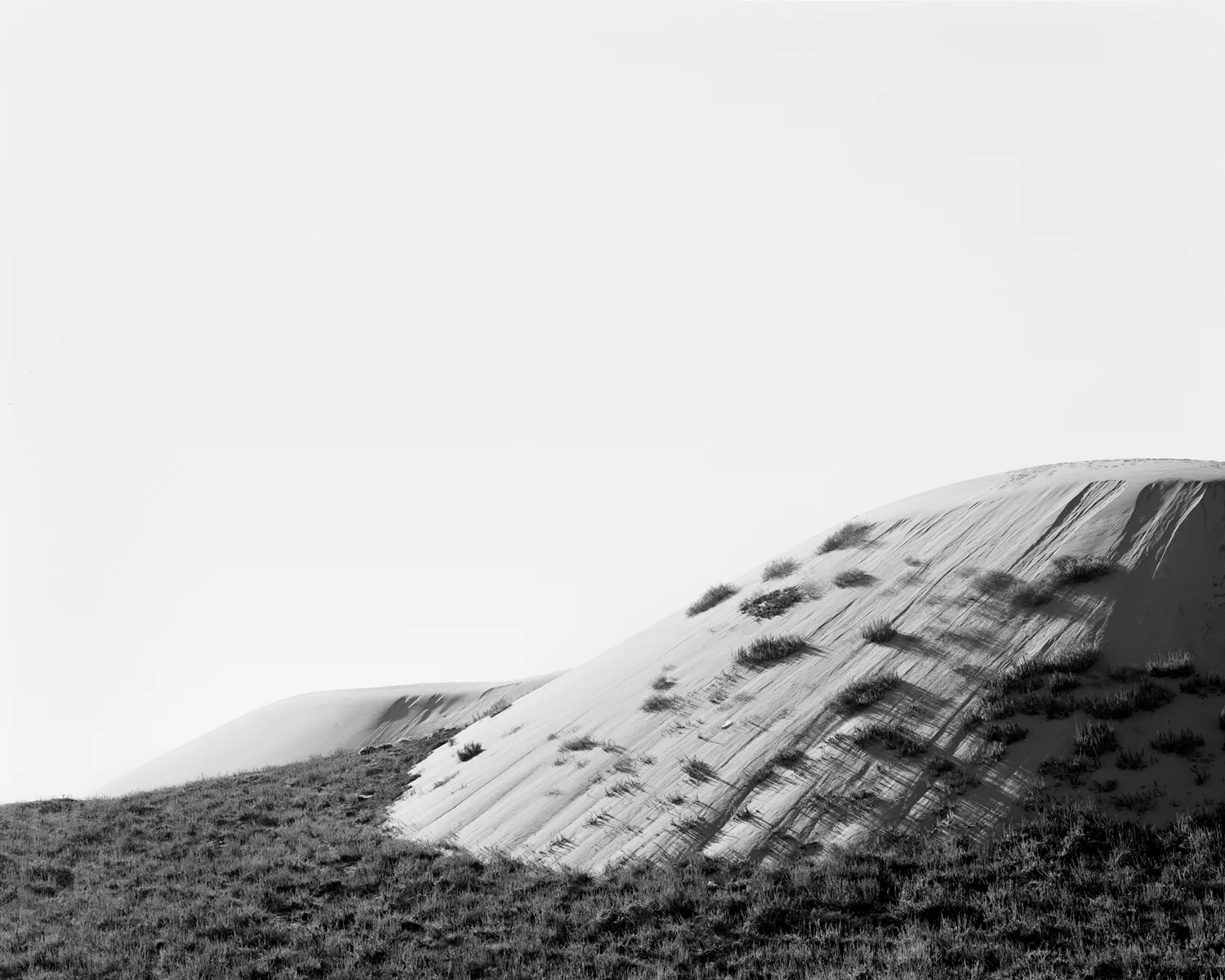 MONTEREY II