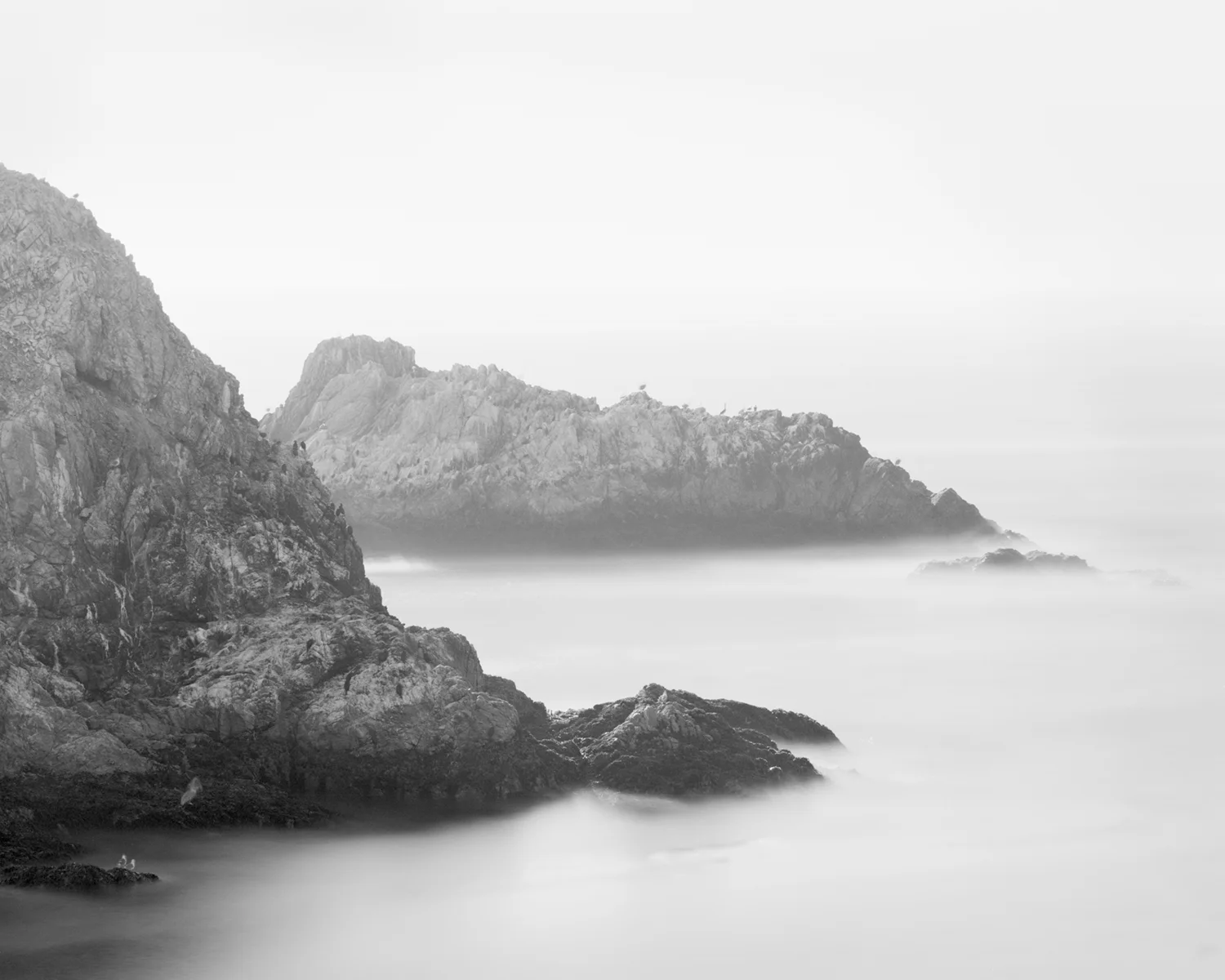 POINT LOBOS IV