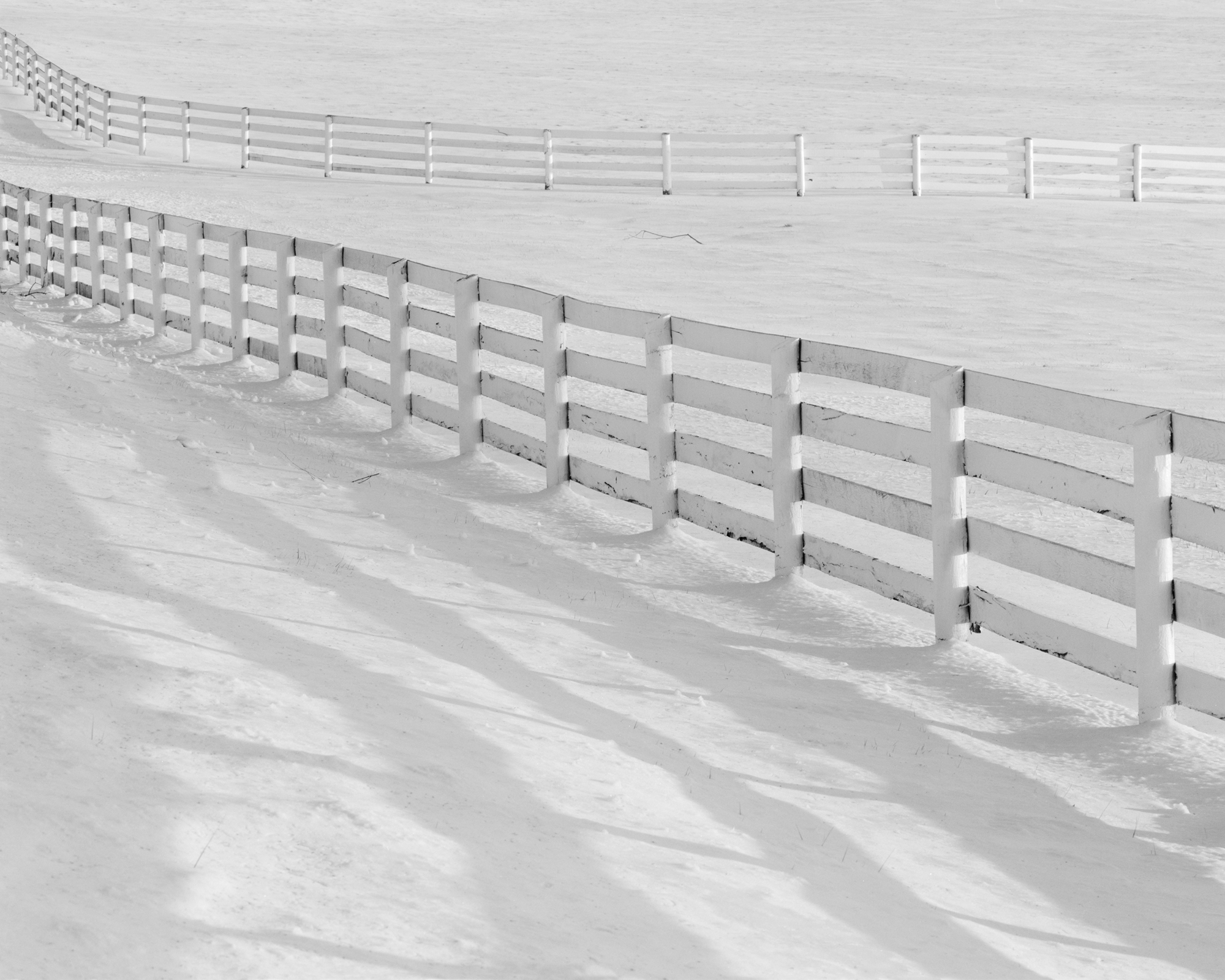 FENCE STUDY I