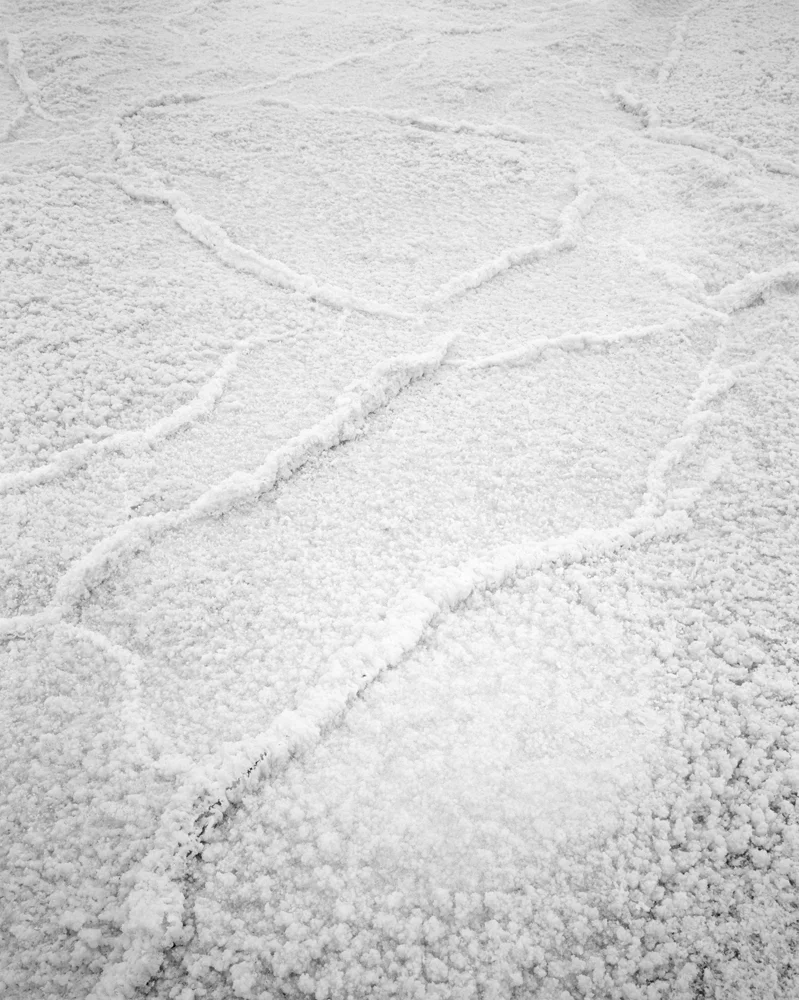 2011_12_12_BADWATER_DETAIL.jpg