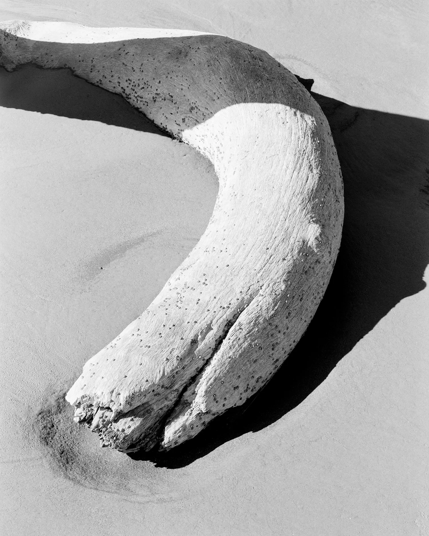 HUNTING ISLAND IV