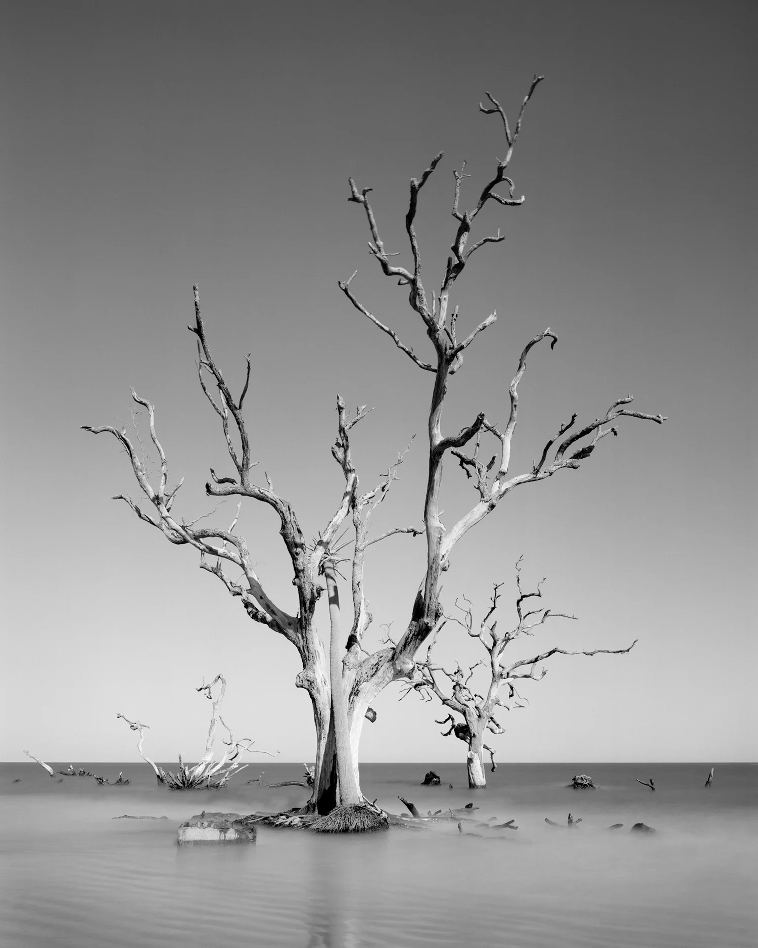 HUNTING ISLAND V