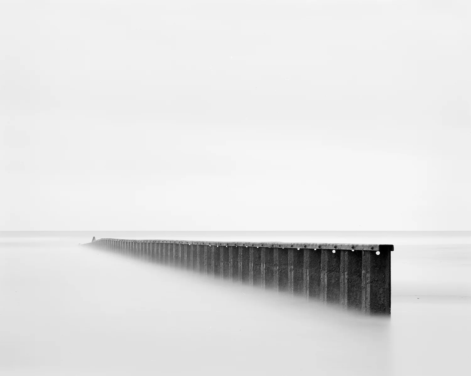 HUNTING ISLAND XII