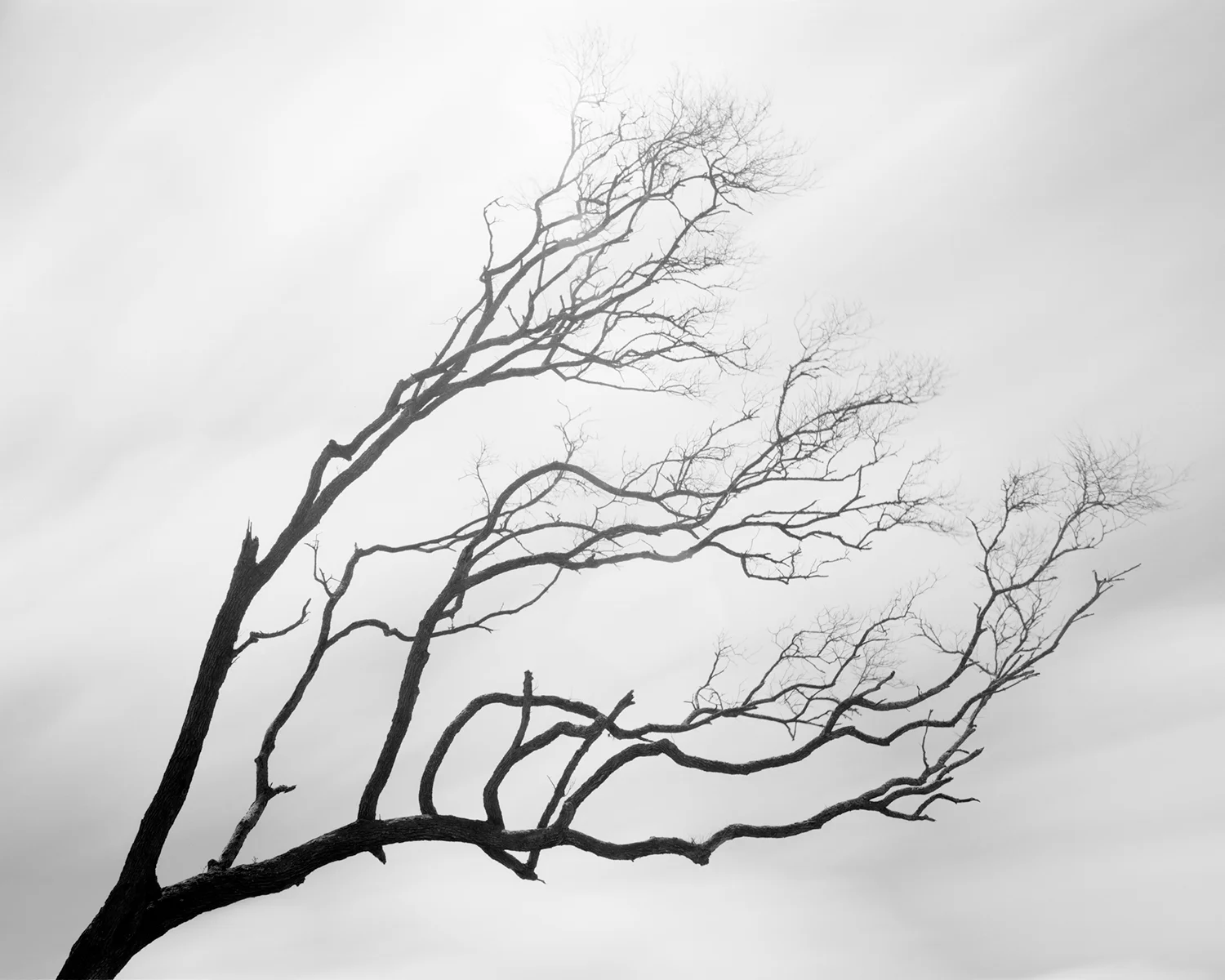 HUNTING ISLAND XVII