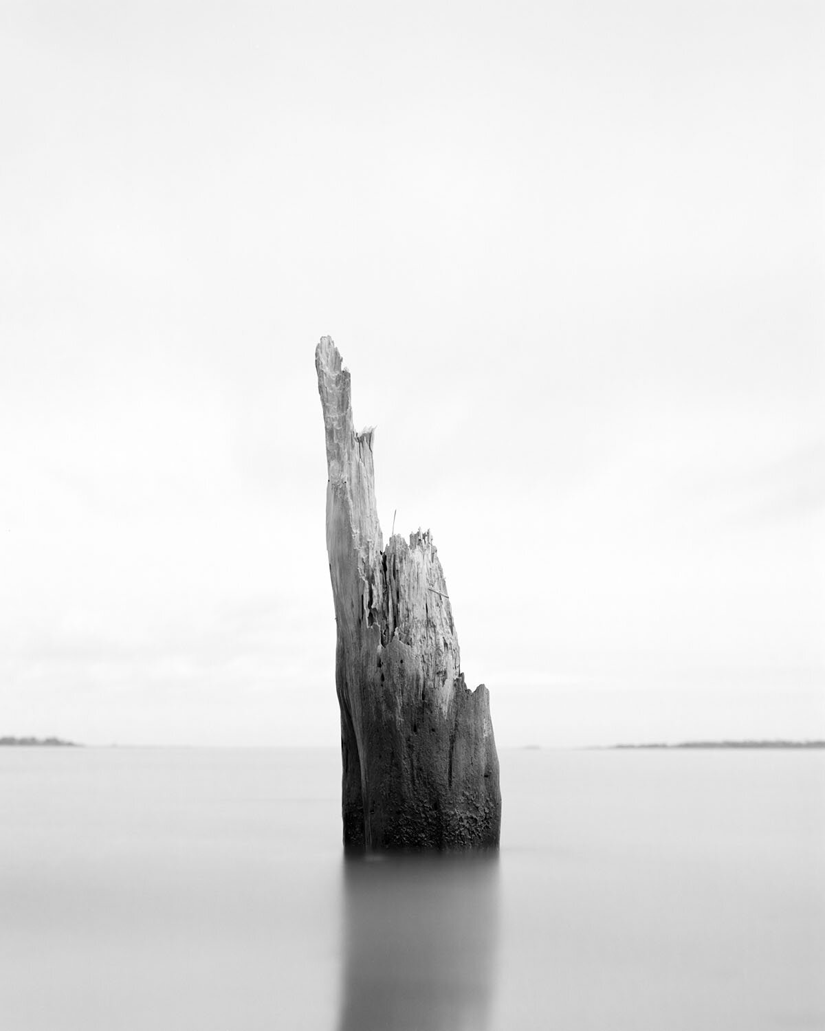 GHOST FOREST VIII