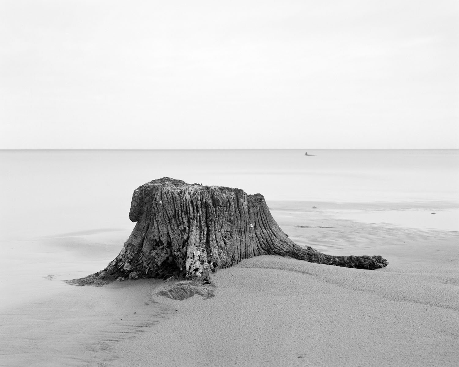 GHOST FOREST VI