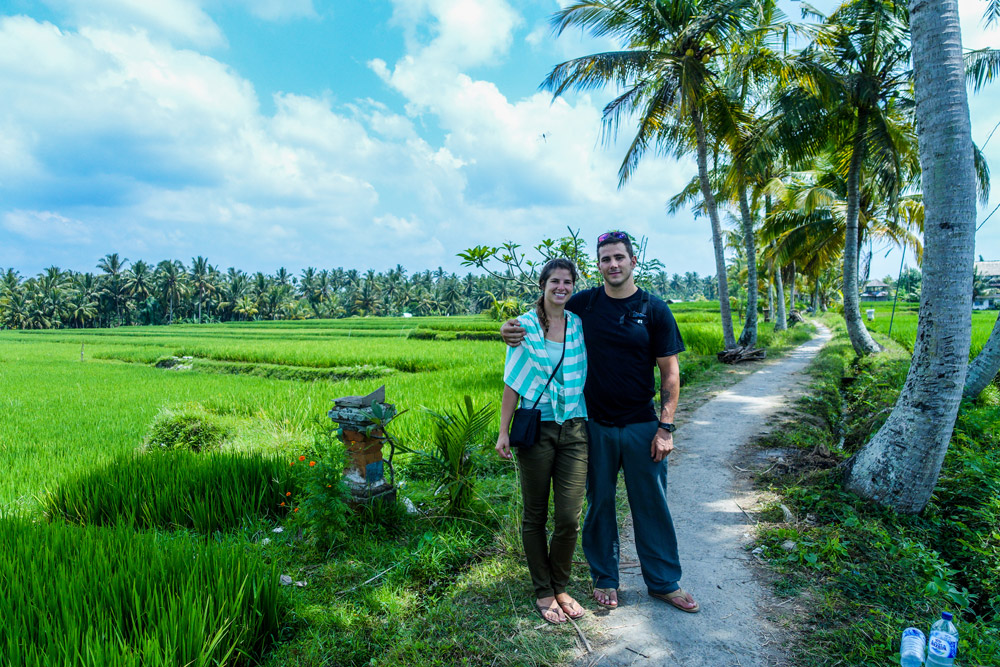 Ubud rice terrace.