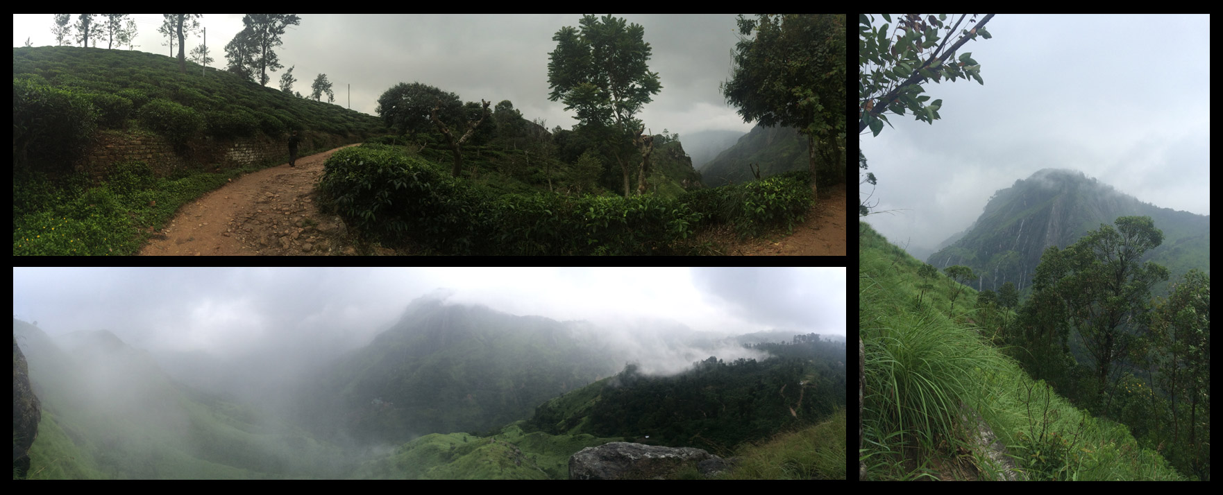 Views from Little Adam's Peak! Top left picture is a path through a hillside tea plantation. 