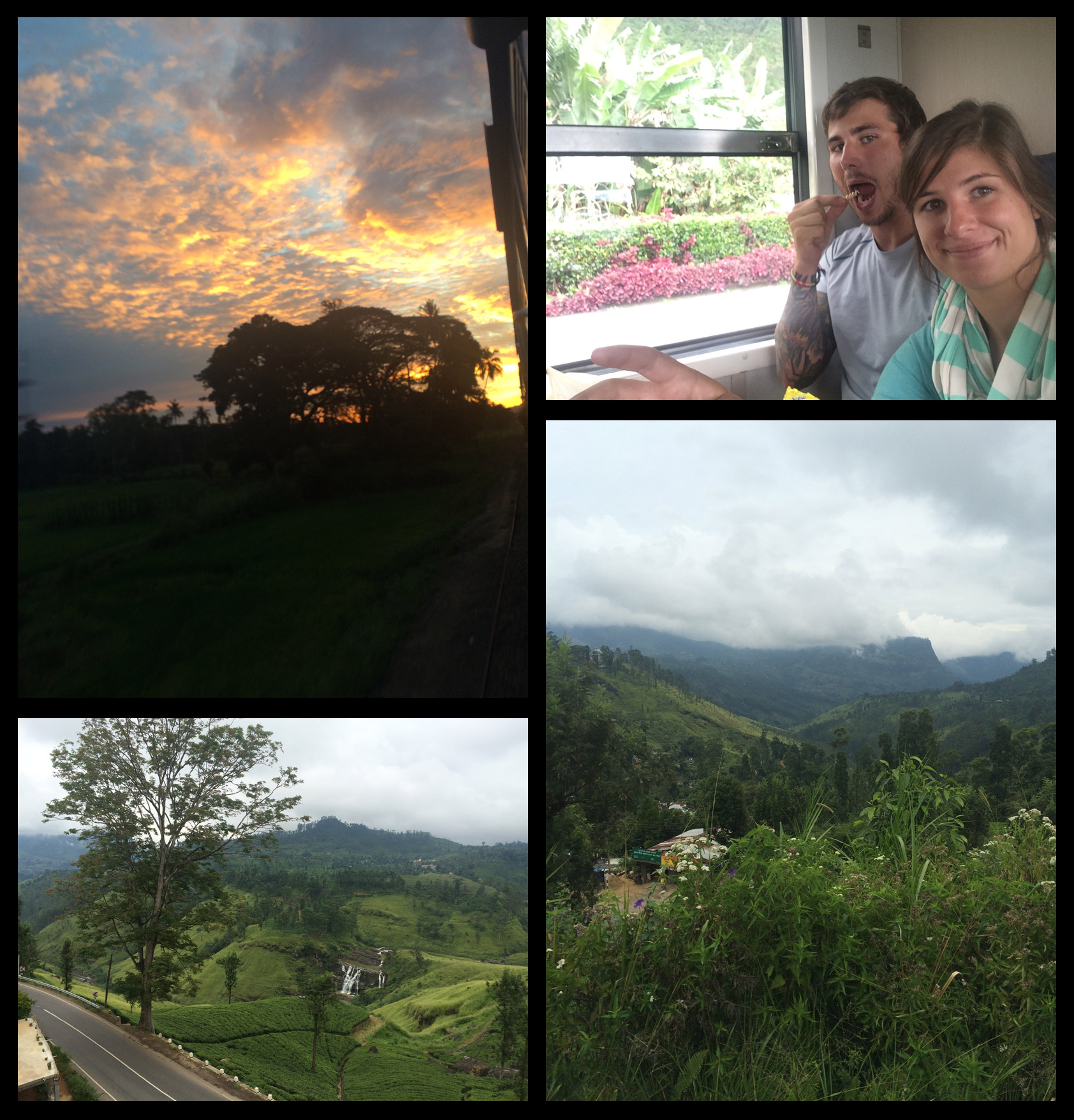 Some views from the million hour train ride!