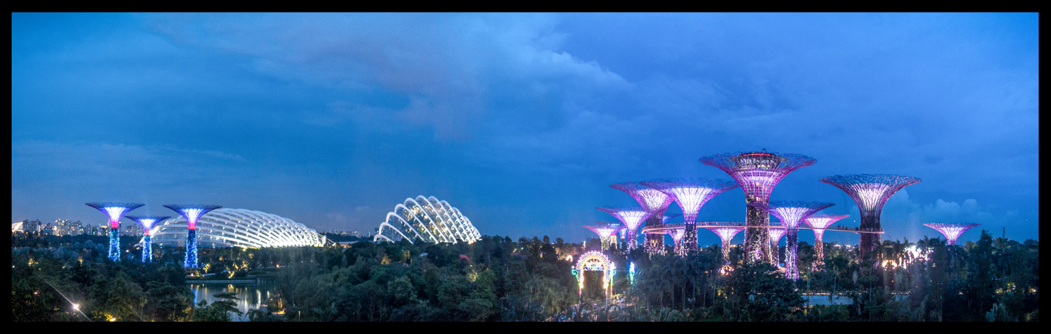 Gardens By the Bay- Supertree Grove