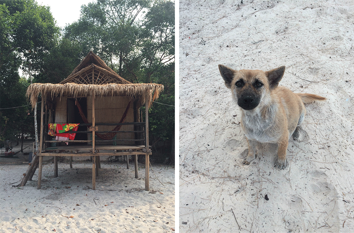 Our 2nd beach bungalow and "Fanta," the little hyena dog that protected us from the angry cows!