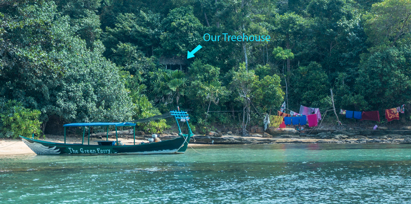 Look at our hidden treehouse right on the water!